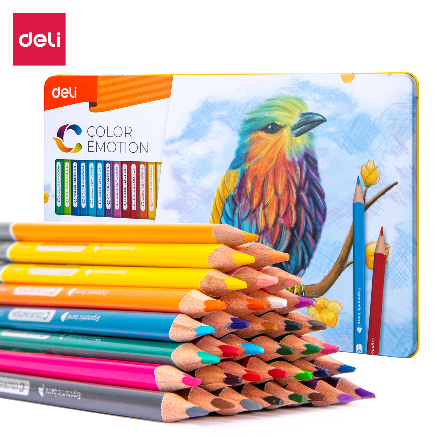 Watercolor Oil-Based Colored Pencil 12/24/36/48 Colors Set, 47% OFF